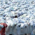 Menutup Punggung Tangan Saat Muslimah Shalat Wajibkah?