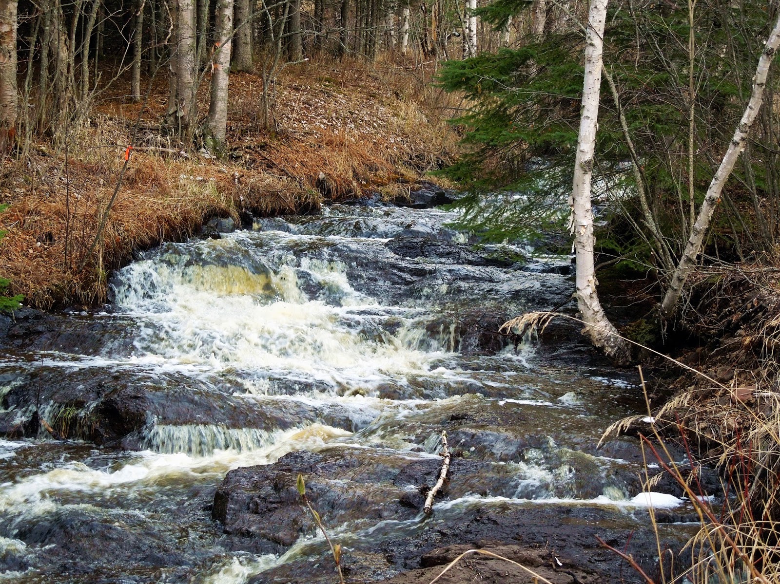 Focusing On Travel Sugarloaf Cove Nature Center, Minnesota