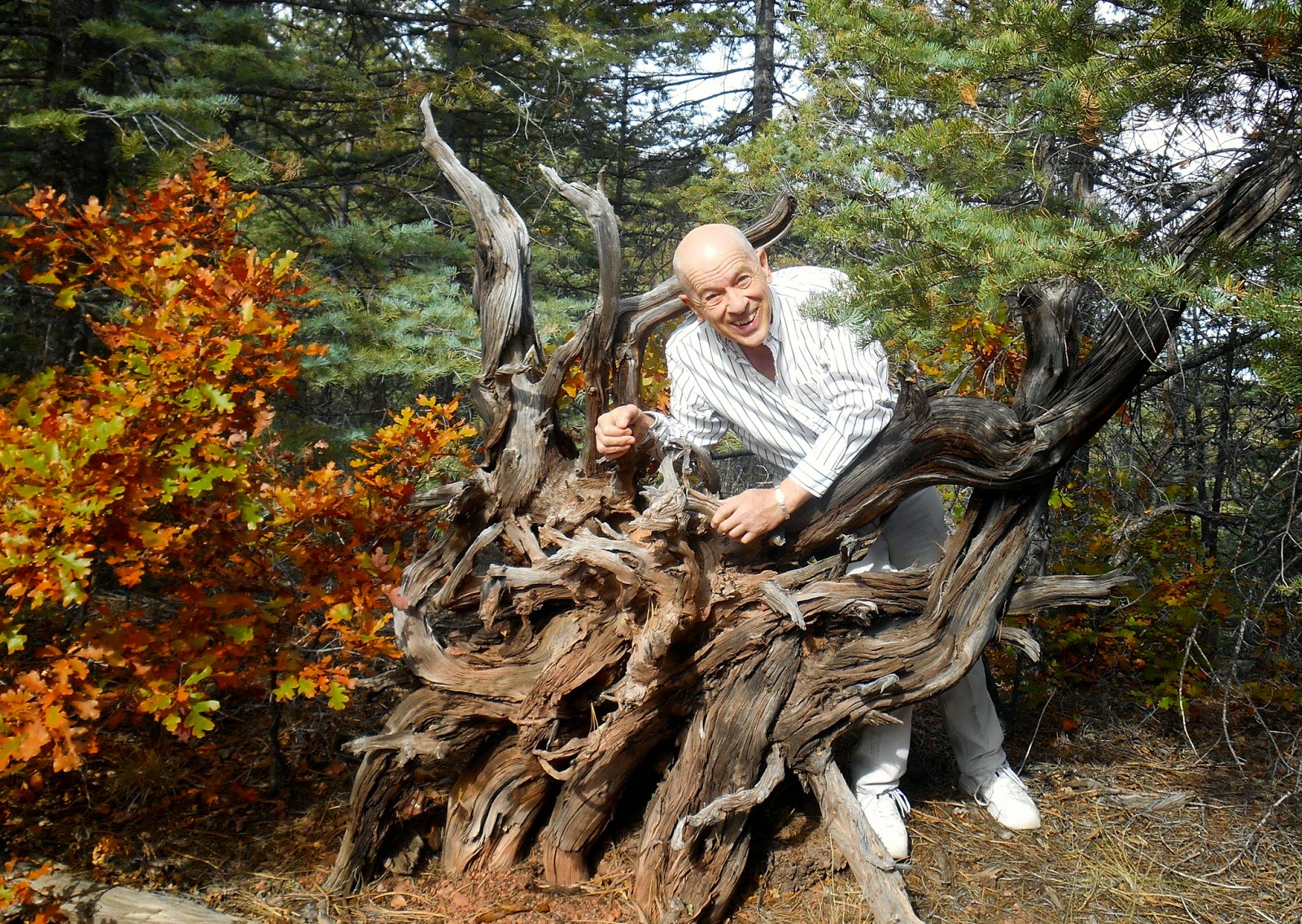 Arroyo Chamisa today's hike