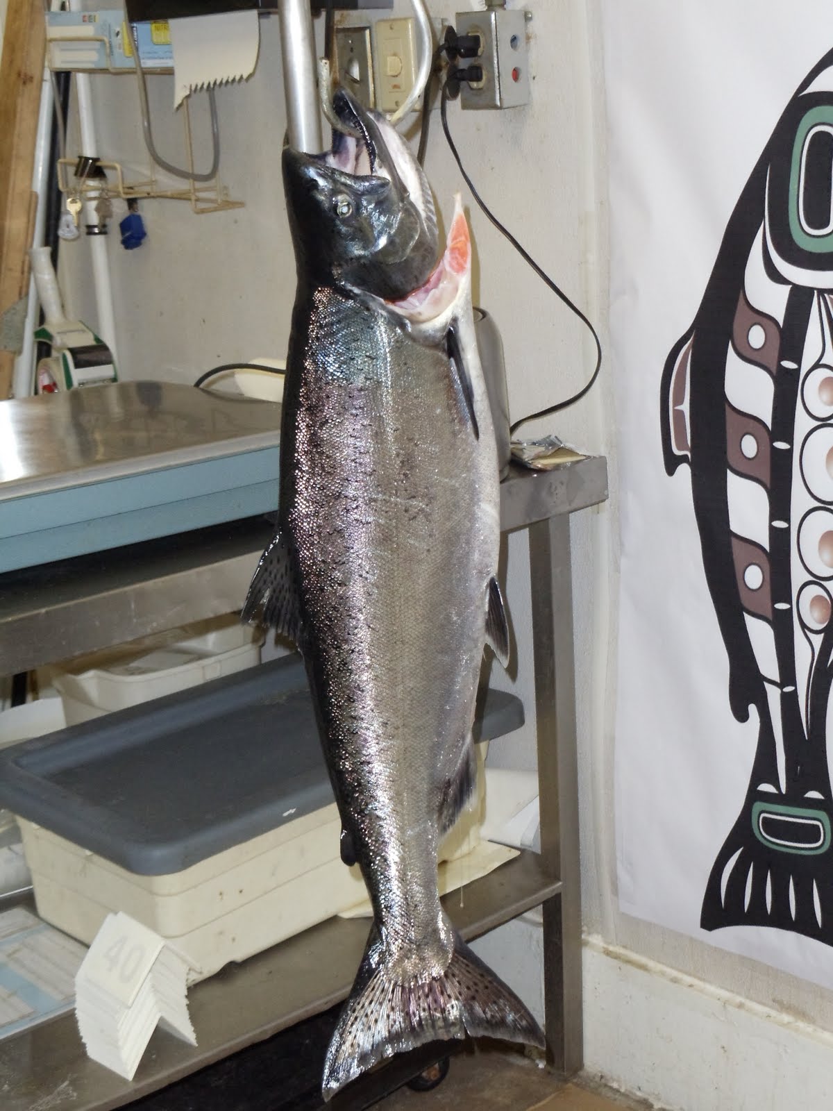 Sandra's Alaska Photography May 7, 2011 DAY 1 Our 2011 Spring King