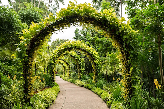 singapur, barvy, budovy, cestování, svět, botanická zahrada