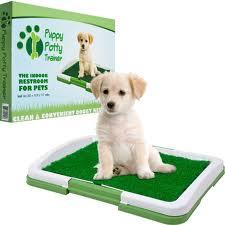 http://plaza24.gr/puppy-potty-pad.html 