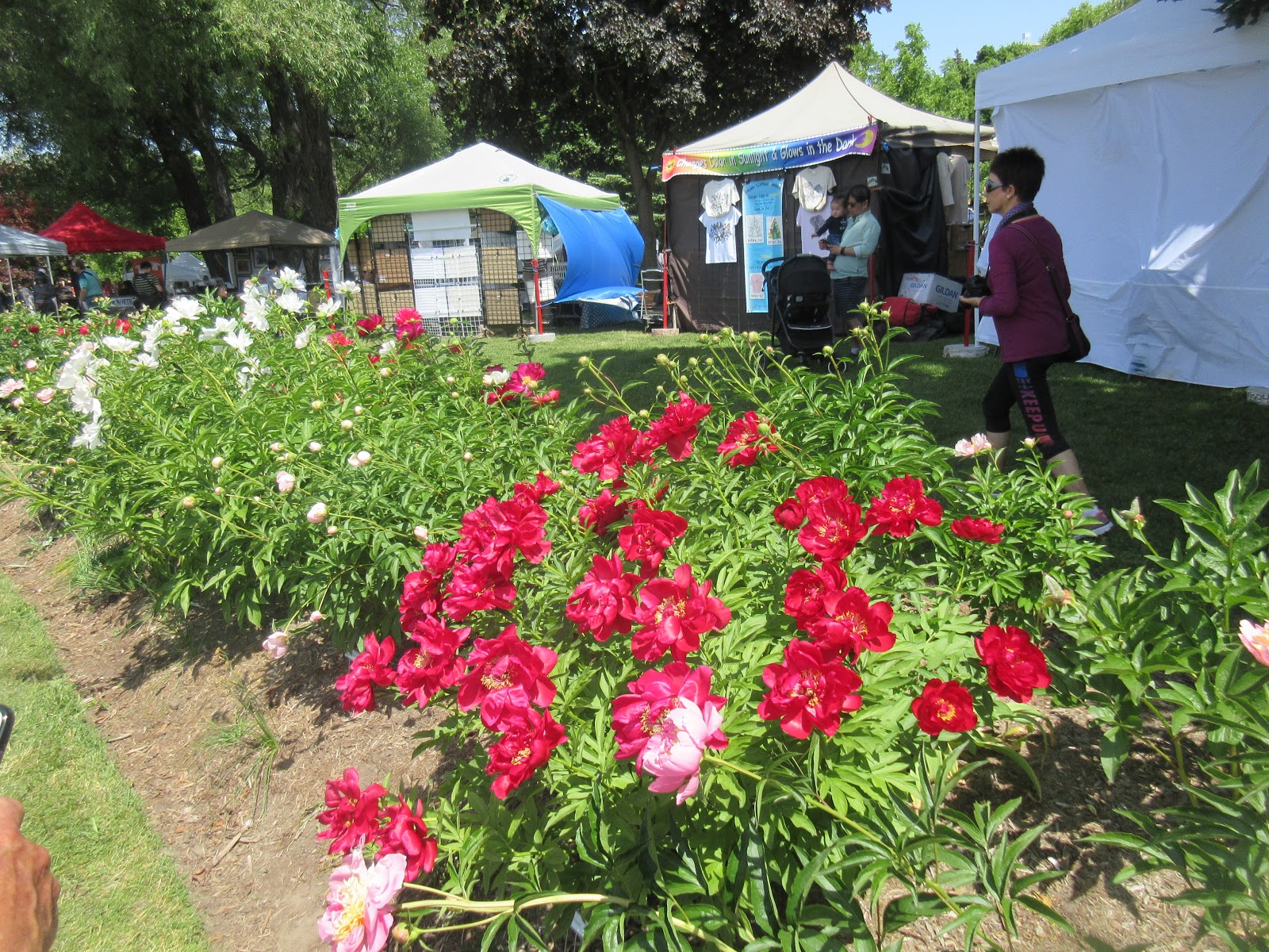 Chris B On The Web Media "An Entertainment Website Since 2014