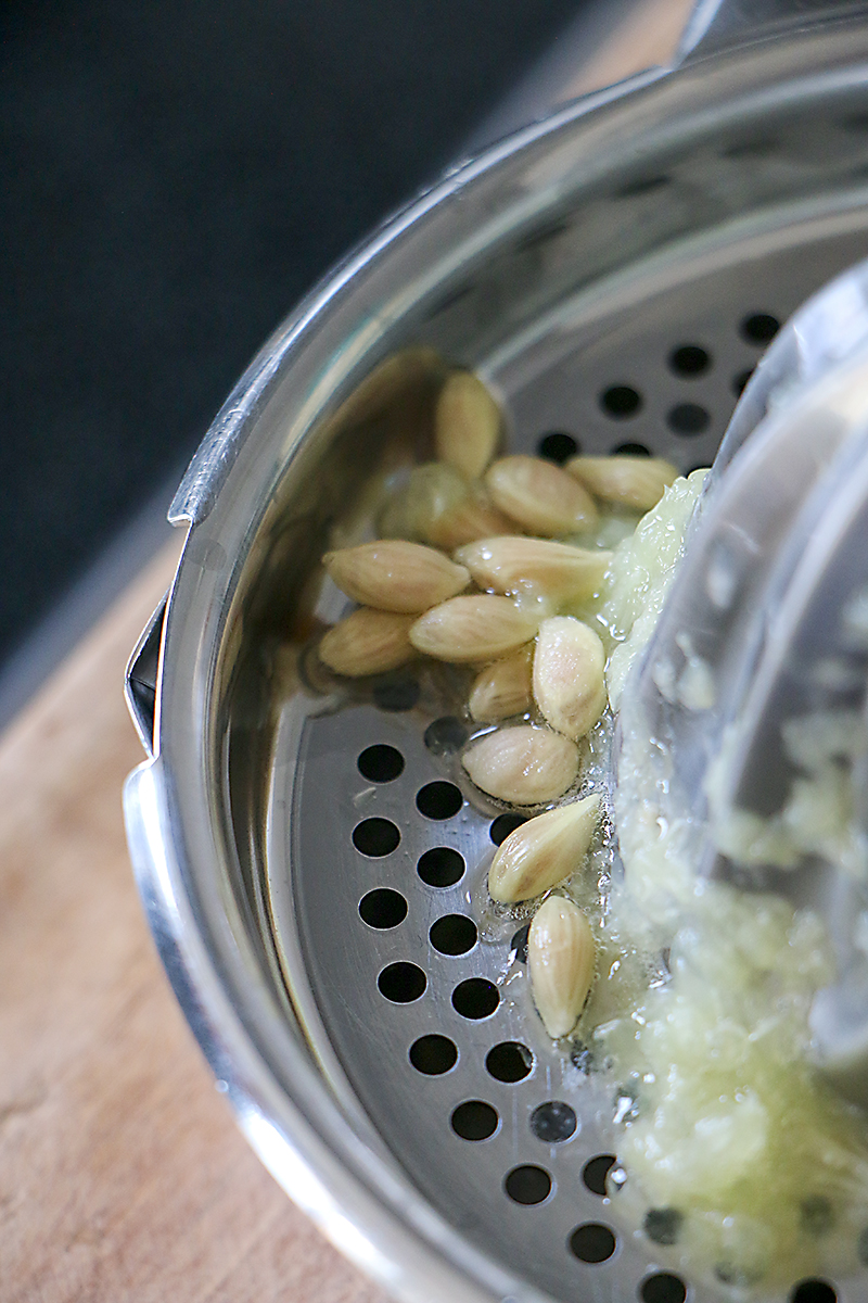 mach etwas . . . Zitronenbaum aus Kernen ziehen, so funktionierts