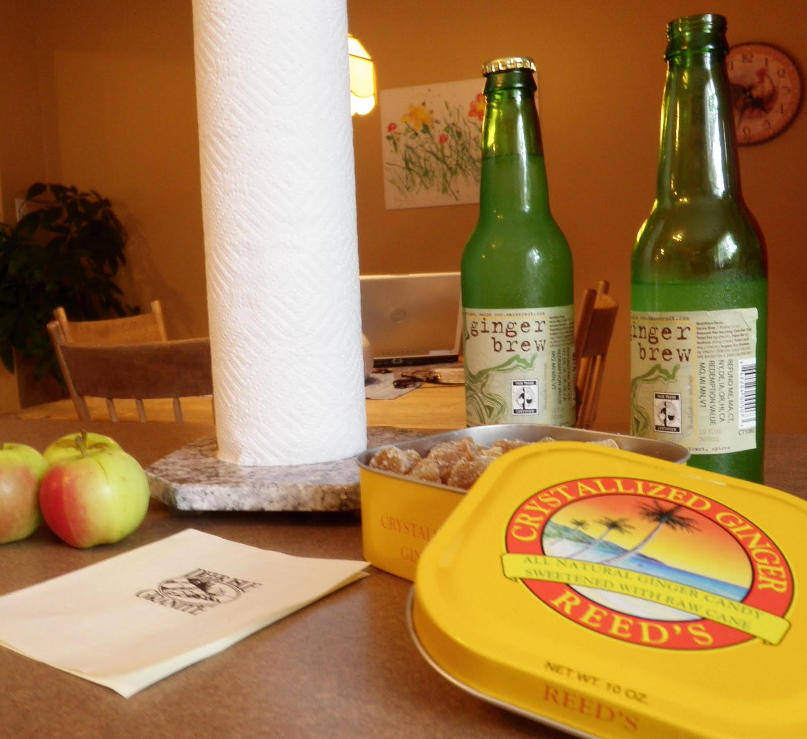 Greeted with Ginger Brew, maps, and goodwill . . . Paddling Maine's