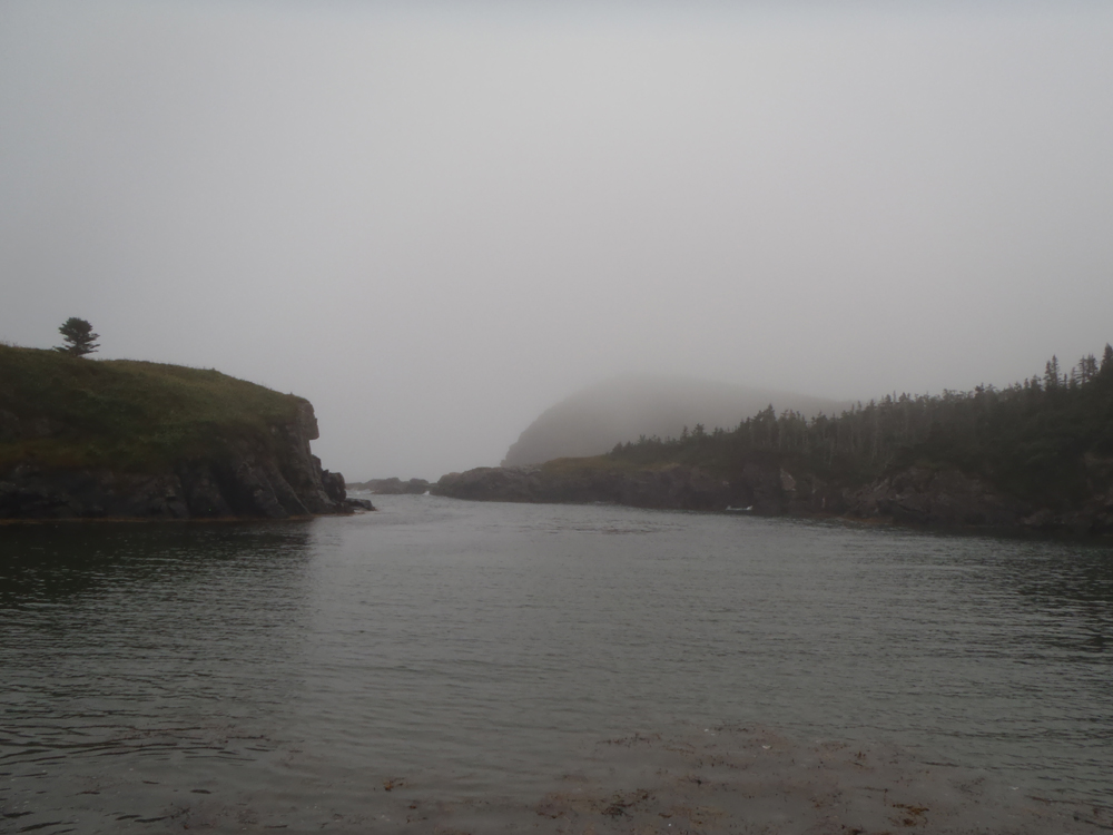 My Newfoundland Kayak Experience Placentia Bay 2015 Paradise lost