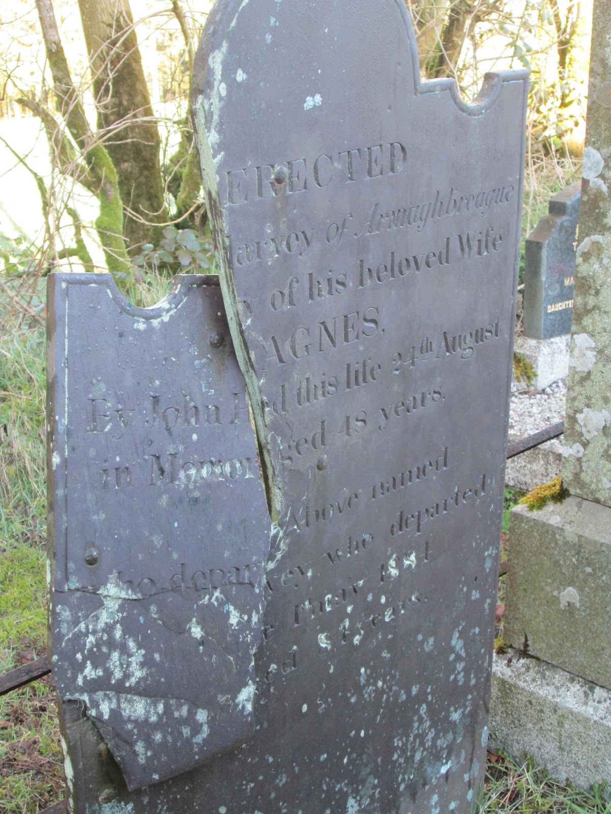 Peter Mullins' Blog Harvey of Armaghbreague