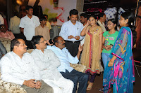 Three Audio Launch Gallery [Andhrula Music]