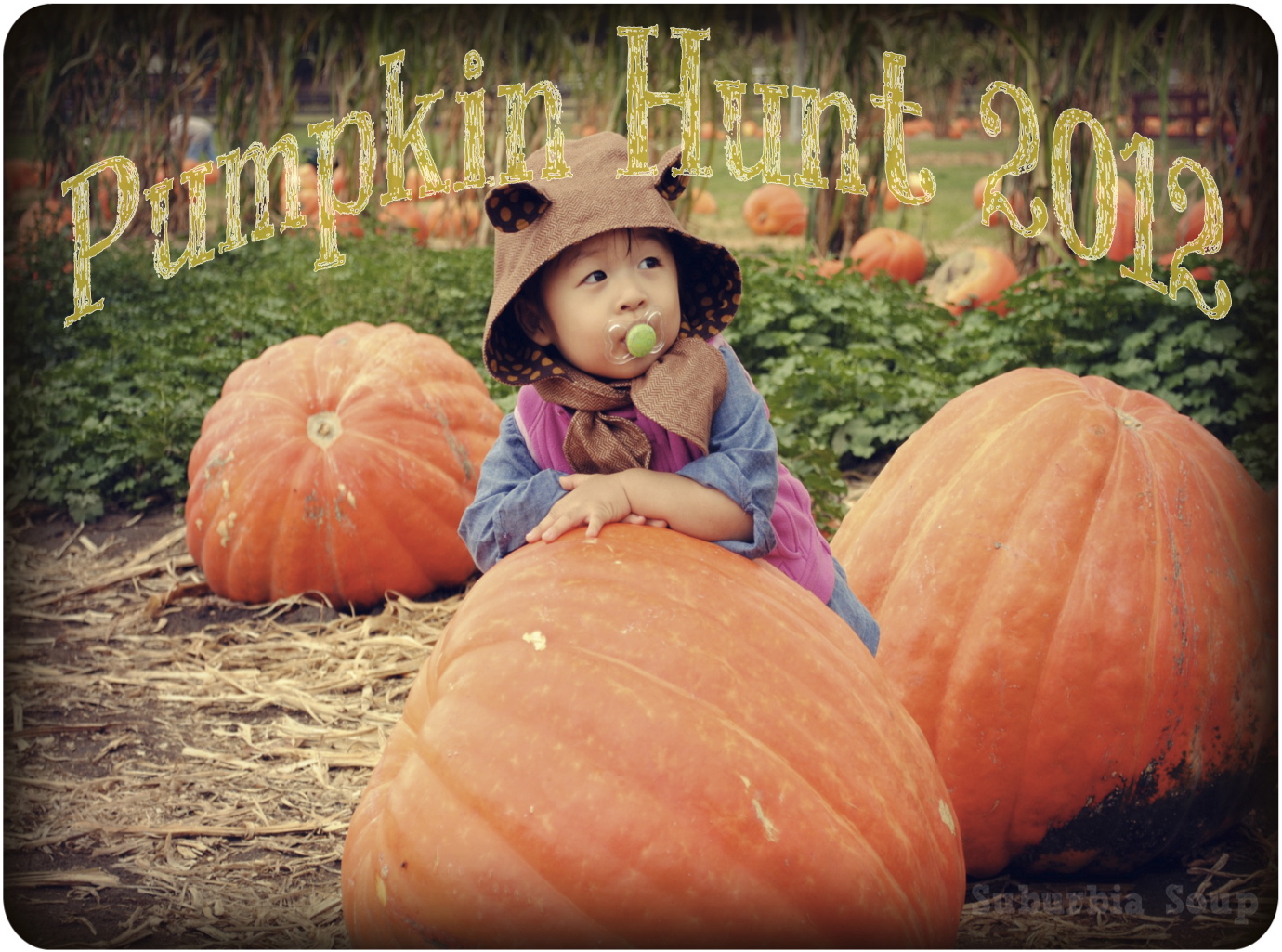 Suburbia Soup Pumpkin Hunt 2012 suburbia-soup-pumpkin-hunt-2012