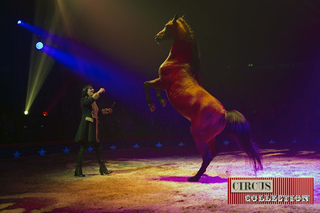 Spectacle chevaux Mary-José Knie