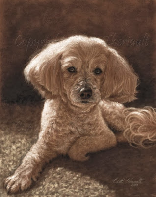 poodle maltese mix painting of pet portrait by Colette Theriault