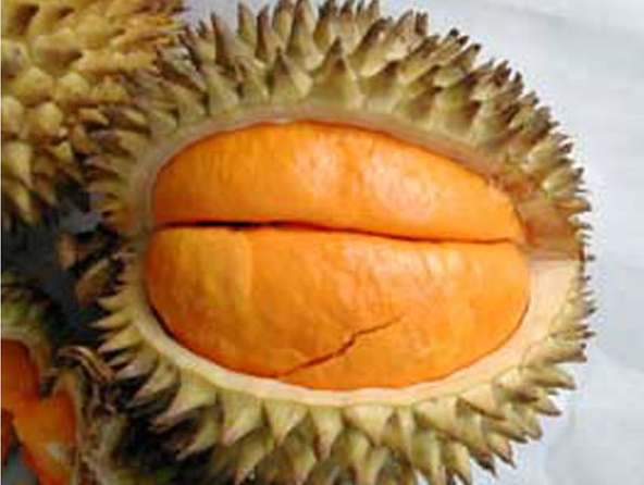 Buah Lai