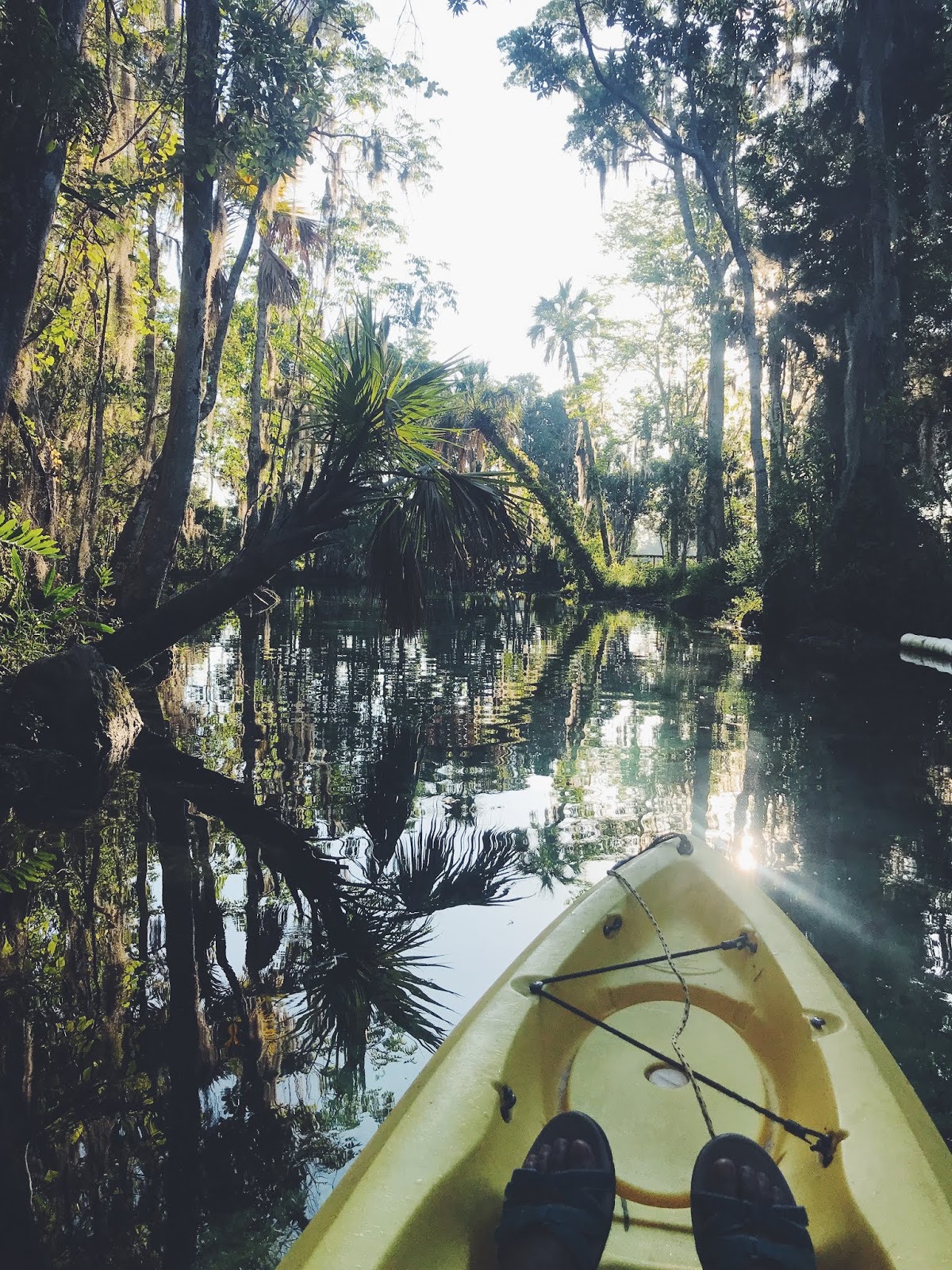 Making Restorations: Manatee Kayaking in Crystal River Florida