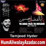 http://audionohay.blogspot.com/2014/10/tamjeed-hyder-nohay-2015.html