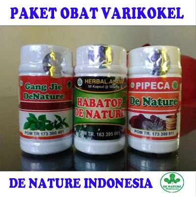 OBAT VARIKOKEL