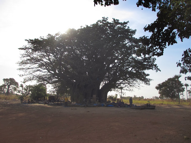 De DJIFER a JOAL-FADIOUTH, uma área deslumbrante de beleza e autenticidade na costa atlântica | Senegal