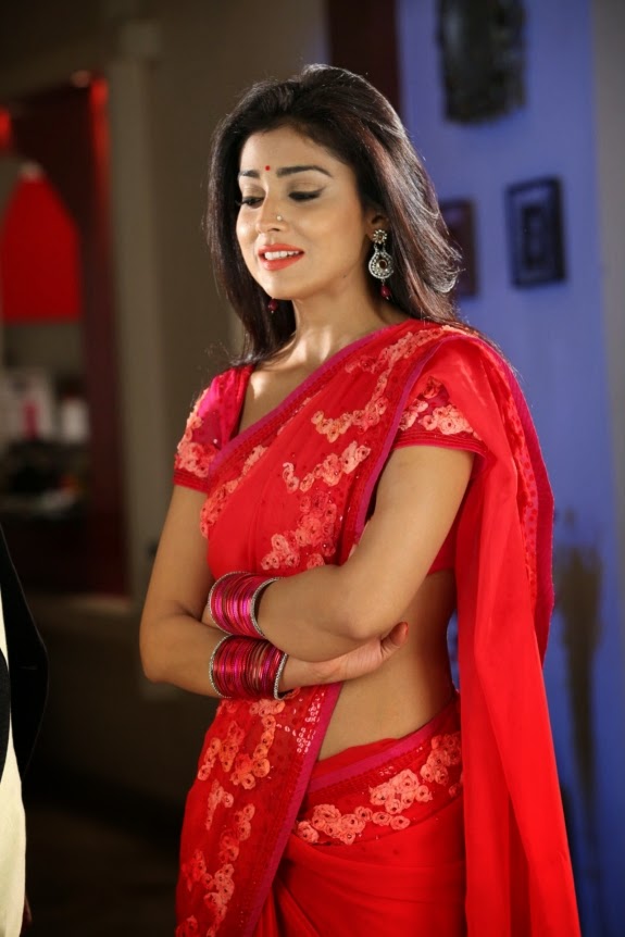 Beautiful Indian Actresses Gallery Sexy Shriya Saran In Red Saree 