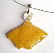 feuille ginkgo biloba