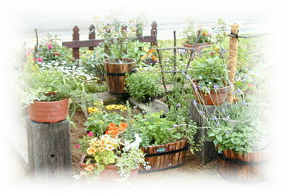 Fuji's Flower Garden POTAGER(ポタジェ)のお話1