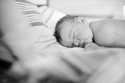 webster life according to the wife: Layne