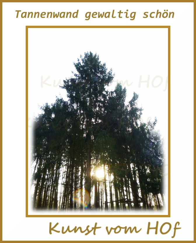 Pdf Download Natur Und Kunst Vermittlung Von Gegenwartskunst