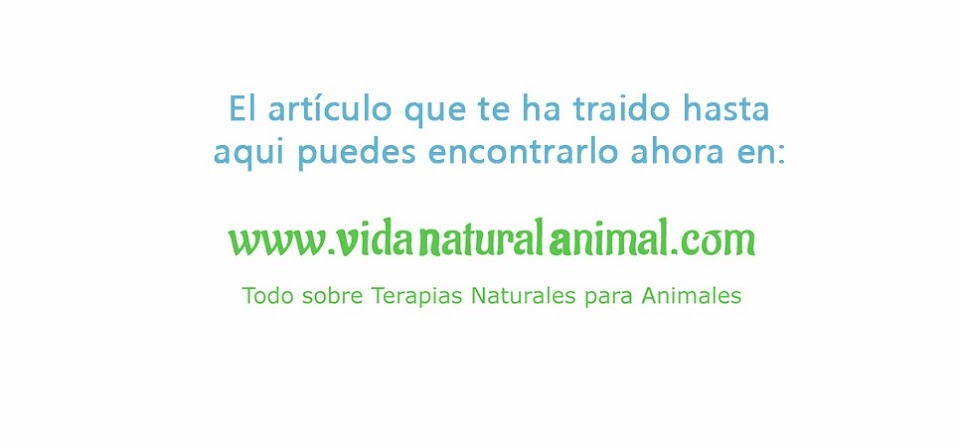 Veternatur - salud natural animal