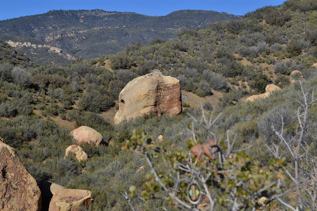 bear head boulder