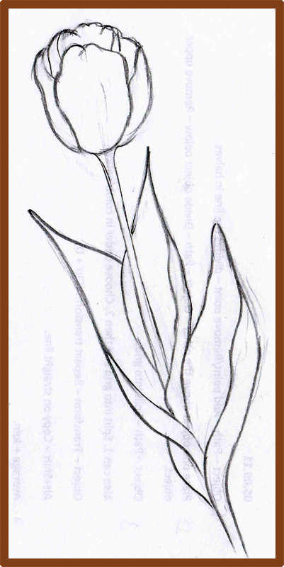 Weekly : Doodles and tuts: How to draw a Tulip: Method 4