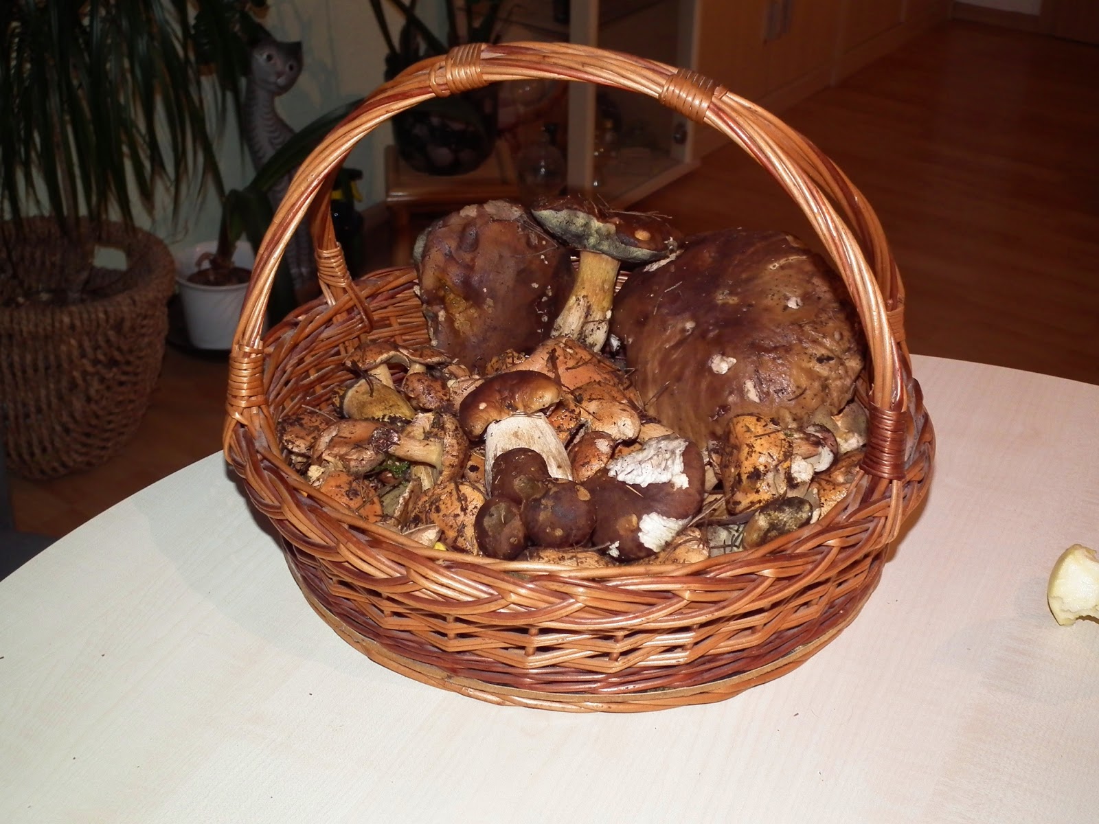 Querdurch2: Oktober 2012