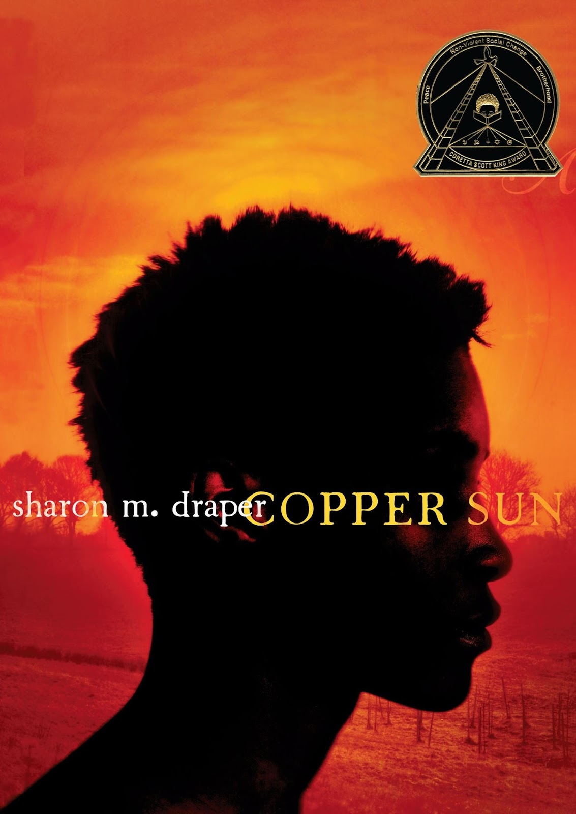 Quiet and Busy Copper Sun by Sharon Draper