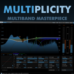 DMG Multiplicity DMG Multiplicity