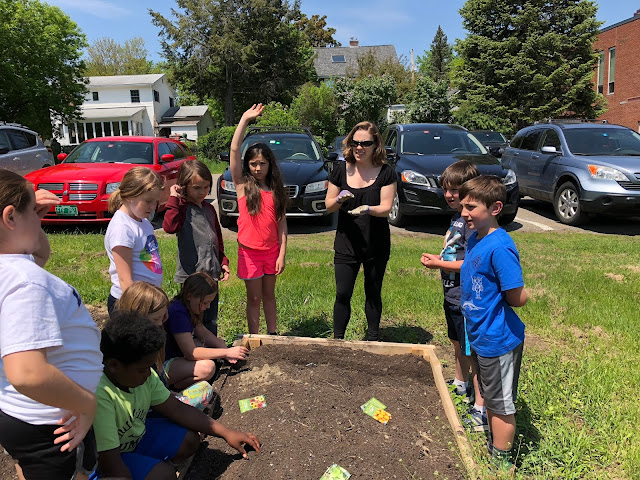 Mrs. Cole helping kids plant seeds