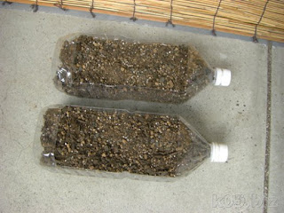 ペットボトルで長方形プランターを作ってみた 某氏の猫空 ペットボトルで長方形プランターを作ってみた 某氏の猫空