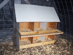 chicken nest build easy box plans cost chickens low garden nesting boxes diy building egg joe journal coop cheap wholeviewfarm