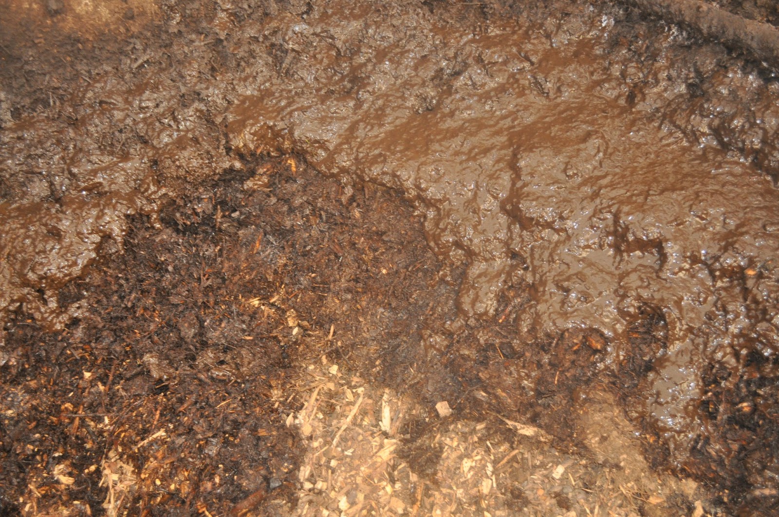 meat Back to farming...deep litter, 90 days in.