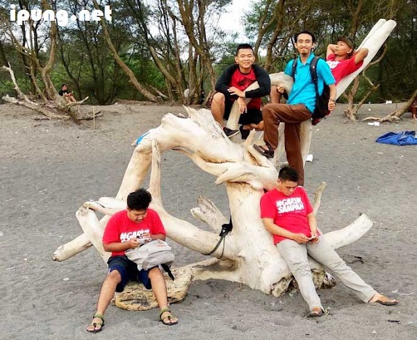 Gotong Royong Bersih Pantai Goa Cemara Yogyakarta Bersama Komunitas Jogja Garuk Sampah Gotong Royong Bersih Pantai Goa Cemara Yogyakarta Bersama Komunitas Jogja Garuk Sampah