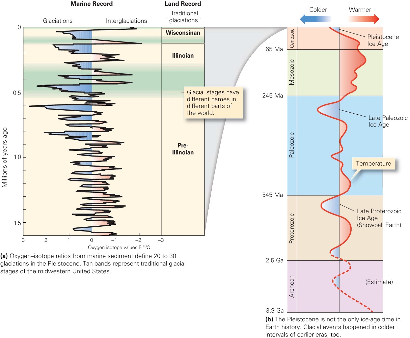 The Pleistocene Ice Age VULMS Help Virtual University of Pakistan