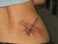 Realistic 3d Dragonfly Tattoo Designs