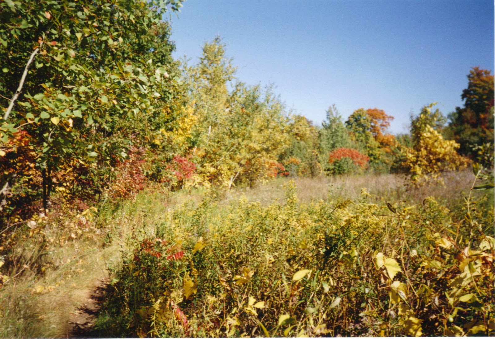 Ernie's Travels Rouge River Valley, Toronto