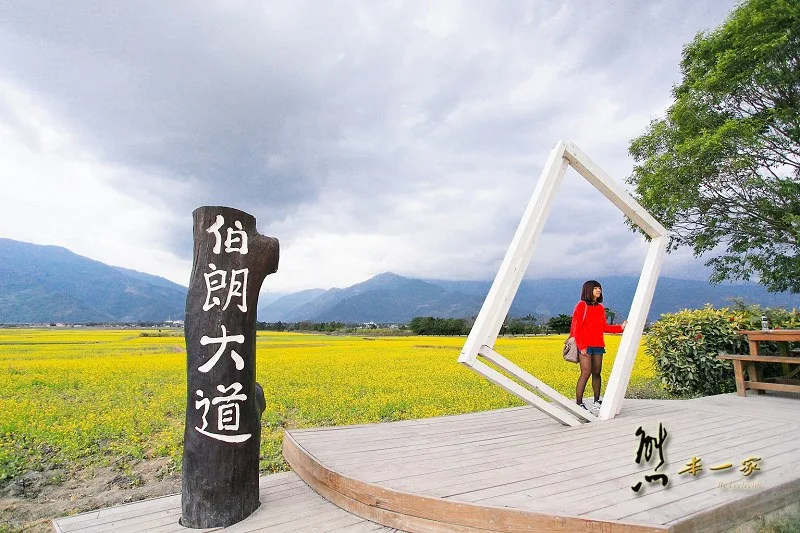 台東池上必訪IG打卡景點|金城武樹|伯朗大道