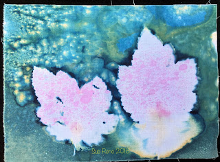 Wet cyanotype_Sue Reno_Image 355
