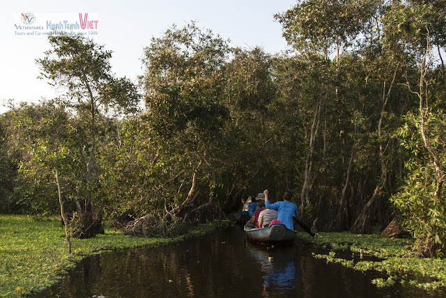 Rừng Tràm Trà Sư - Mỗi lần ghé thăm, là một trải nghiệm mới