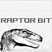 Parceiro - Raptor Bit