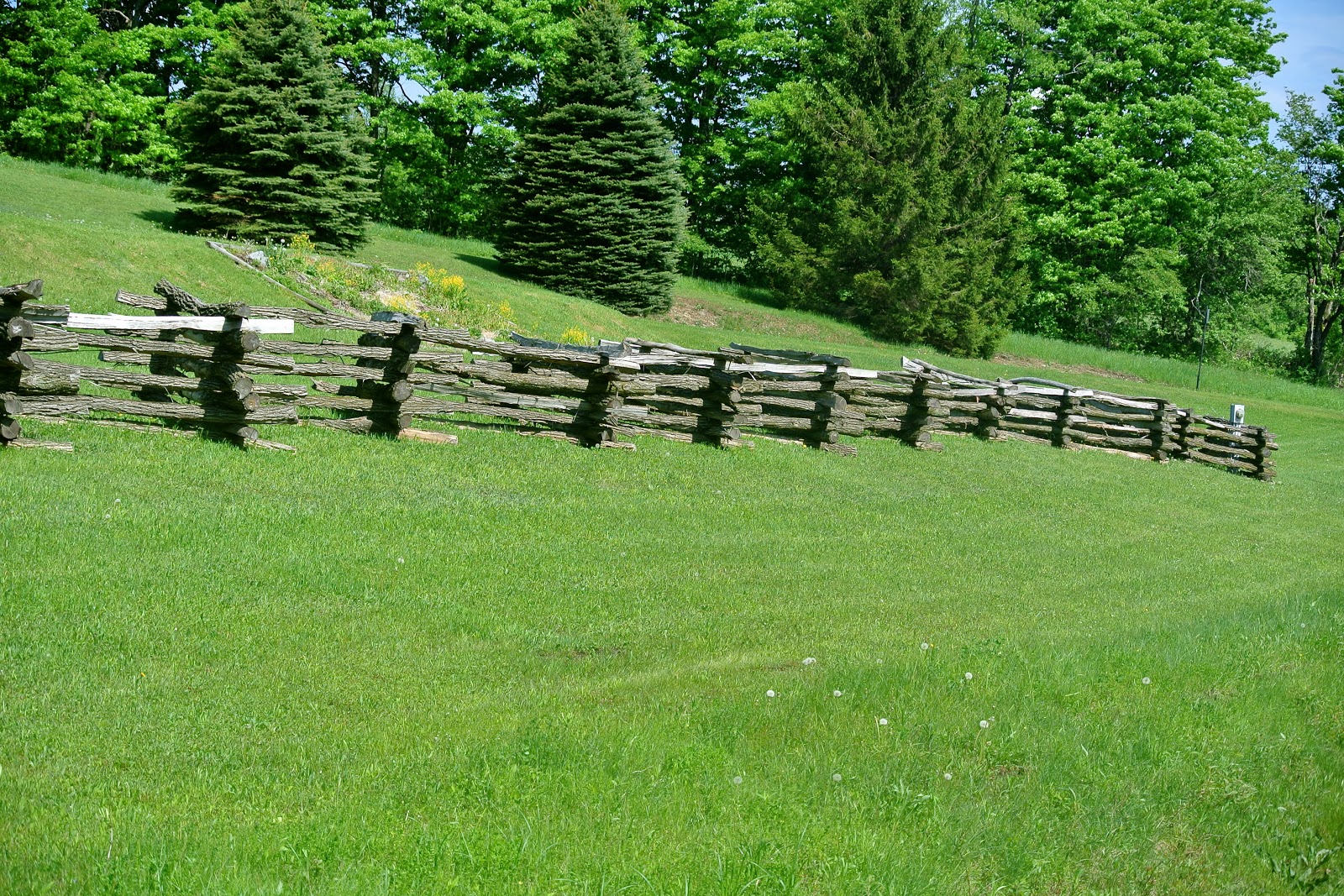 Old Style Fence 39
