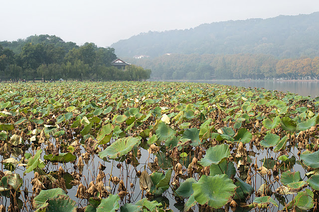 Lac de l'Ouest, Hangzhou