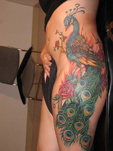 best peacock tattoos best peacock tattoos designs ideas