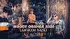 Download Dark Moody Orange Lightroom mobile preset 2020 free