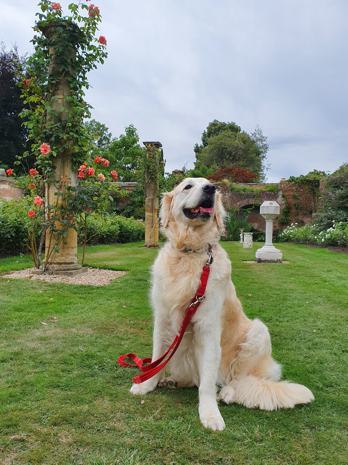 A rather regal Polly at Hever Castle!