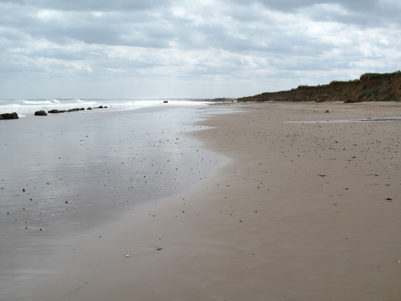 Wild at Hull Fraisthorpe beach