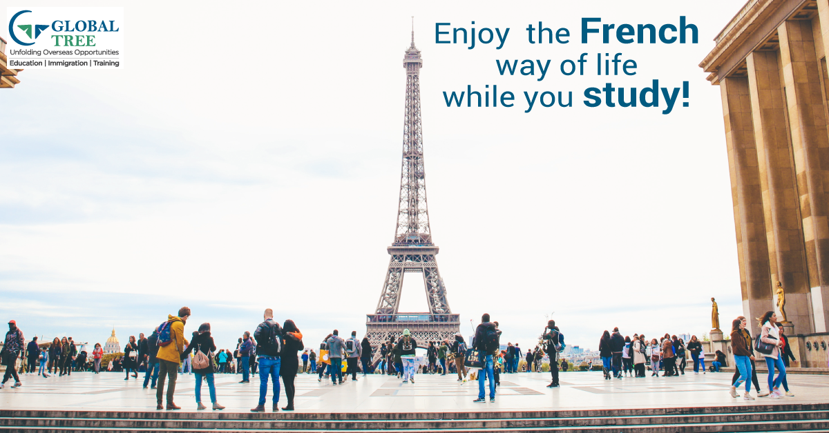 Top 10 Reasons for Study in France Overseas Education Immigration